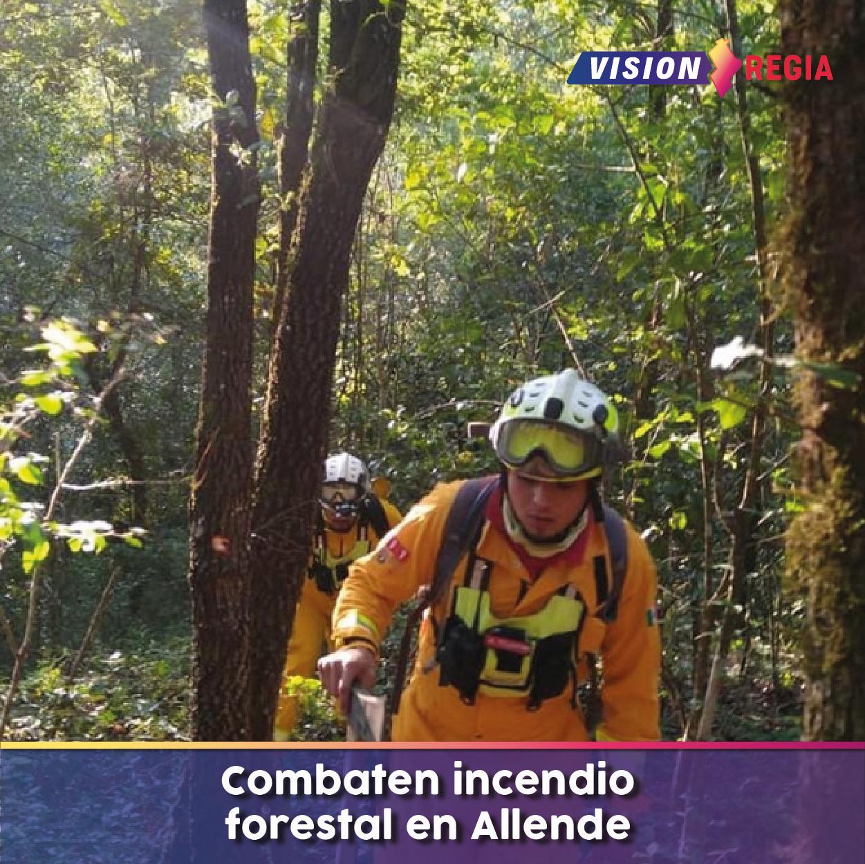 Combaten incendio forestal en Allende