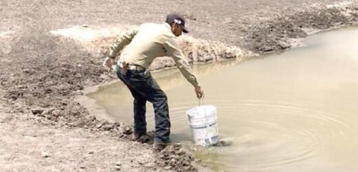 Sur de Nuevo León se enfrenta a la falta de agua
